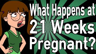 What Happens at 21 Weeks Pregnant [upl. by Anilra]