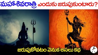 Why Maha Shivaratri is celebrated  Content Maker  Telugu Eng subs [upl. by Rather410]