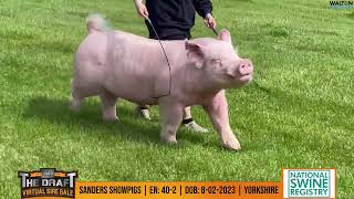 Sanders showpigs en 40 2 09 May 2024 10 16 22 AM [upl. by Anitaf]