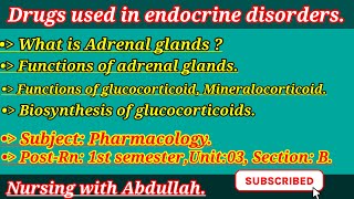 Adrenal glands in urdu  Corticosteroid in urdu PostRn 1st semester Unit 3 Section B 1 [upl. by Alikat812]