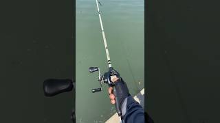 Shimano Curado K Casting fishing shimano [upl. by Car858]