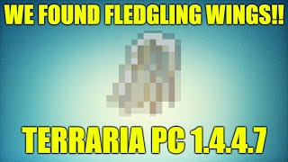 Rare Fledgling Wings Seed Found Terraria PC 1447 [upl. by Aseela]