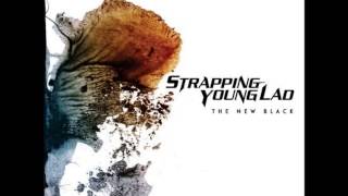 Strapping Young Lad  The New Black Full Album [upl. by Schlenger911]