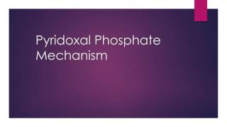 Pyridoxal Phosphate PLP Mechanism Explained [upl. by Eldin213]