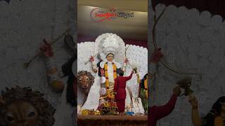 Jagadhatri Puja Siliguri Junction trending ytshorts siliguripuja youtubeshorts shorts short [upl. by Laird]