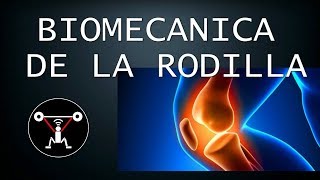 BIOMECANICA DE LA RODILLA [upl. by Leinehtan320]