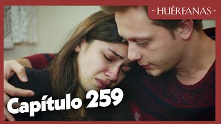 Huérfanas  Capítulo 259 [upl. by Napier23]