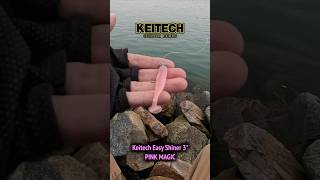 Keitech Easy Shiner PINK MAGIC [upl. by Ecinom]