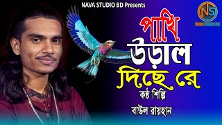 পাখি উড়াল দিছে রে। বাউল রায়হান। Nava studio bd 2024 [upl. by Htebzil]