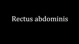 How to pronounce Rectus abdominis [upl. by Oicnedurp]