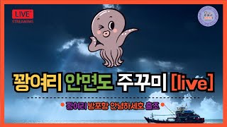 꽝여리Live 안면도가 미래다 주꾸미갑오징어 싹쓸어 갑니다 방포항 안녕하세호 [upl. by Eisenhart803]