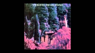 Violeta de Outono  08 Luz [upl. by Eslud]