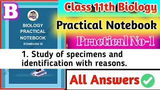 Class 11th Biology Practical Notebook B 1To Study Of Specimens amp Identification With Reasons B [upl. by Rocker428]