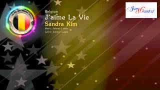 Jaime la vie lyrics [upl. by Savell901]