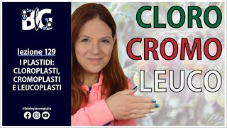 I PLASTIDI CLOROPLASTI CROMOPLASTI e LEUCOPLASTI [upl. by Isej297]