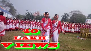 Kancha Sona Jhumoir Dance Exhibition New HD Jhumoir Assam Deser Chai k bagane DIBRUGARH ASSAM [upl. by Decrem]