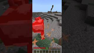 Gaboleh Ketemu Burung Di Minecraft Tapi Main Game TerSus shorts [upl. by Abate]