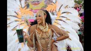 2023 Miami Carnival in Pictures [upl. by Eciruam]