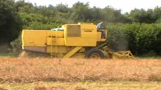 Combining at Camrose  with Clayson [upl. by Oniotna23]