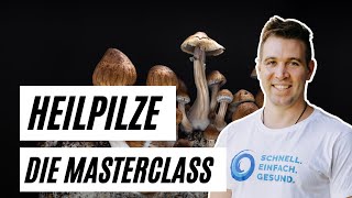 Heilpilze Masterclass 2023 🌲 Alles über Vitalpilze amp Baumpilze mit Martin Auerswald Mykotherapie [upl. by Ddej]