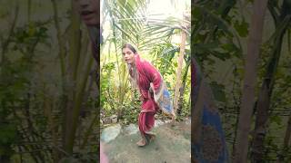 Music lyrics 2024 trending dance shorts [upl. by Hsekar]