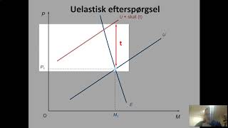 Virkning af afgift kort version [upl. by Lienahs683]