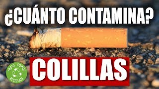 😱 ¿Cuánto CONTAMINAN las COLILLAS de Cigarro 💥 ¡¡Tienes que Saber ESTO ⚠️ IMPORTANTE [upl. by Pamelina]