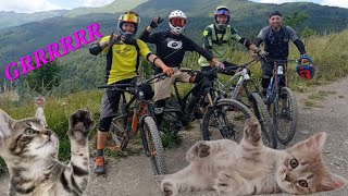 Bike Park Sestola  Trail natural quotSCAFFA DEL GATTOquot [upl. by Violetta]