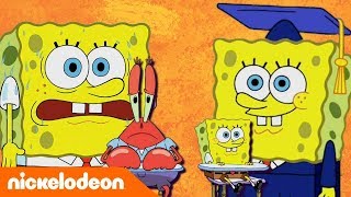 SpongeBob Kanciastoporty  Lekcja Sponge’a  Nickelodeon Polska [upl. by Altaf774]