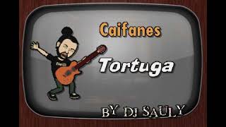 Caifanes Tortuga DJ Sauly Karaoke [upl. by Nolat]