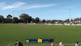 Bendigo FNL RD8 2024 Strathfieldsaye vs Sandhurst [upl. by Shaina]