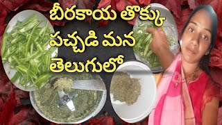 Beerakaya thokku pachadiబీరకాయ తొక్కు పచ్చడి మన తెలుగులోsirivlogs [upl. by Gould]