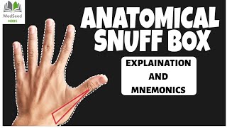 Anatomical Snuff box Anatomy explained [upl. by Arinaid767]