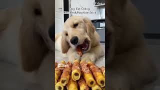 Dog Eat Odog Dental Sticks dog dogfood sharing dogshow eat petfun watch cutedog [upl. by Hulda]