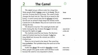 Facts and Figures  Unit 1 Animals  Lesson 2 The Camel [upl. by Mckee]