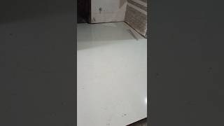 I Installed The Most Expensive Floor Tiles [upl. by Anneuq]