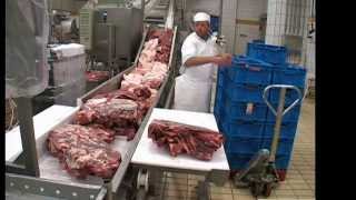 Salami Processing Line with Cutter [upl. by Leiahtan974]