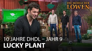 Pitch LUCKY PLANT 🌱  Jahr 9  Die Höhle der Löwen [upl. by Motch]