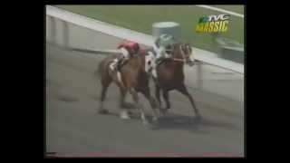 MATCH RACE  Quarter Horse vs Thoroughbred [upl. by Hannavas813]