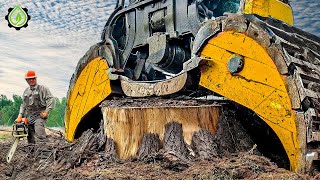 Extreme Dangerous Fastest Big Chainsaw Cutting Tree Machines  Monster Stump Removal Excavator 17 [upl. by Aden]