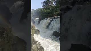 Hogenakkal tourism ✅ today 23102024 Hogenakkal Watter Falls 💦shorts reels video subscribe ✅ [upl. by Brucie279]