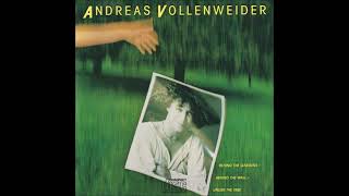 Andreas Vollenweider quotPyramid In The Wood In The Bright Light [upl. by Summers]