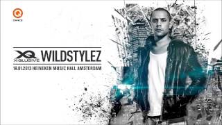 Wildstylez  Soundstorm Edit 2013 1080p [upl. by Shah74]