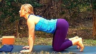 Yoga Workout Beginners Lower Back Stretch Home Exercise Routine How To [upl. by Nanette]