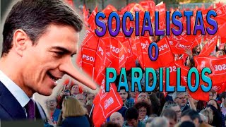 SOCIALISTAS O PARDILLOS Los politicos insultan nuestra inteligencia [upl. by Harras]