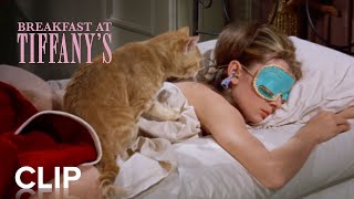 Breakfast at Tiffanys Theatre Trailer [upl. by Velma]