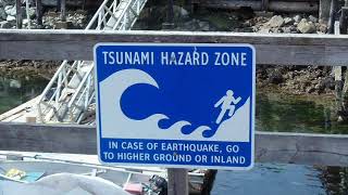 Tsunami Siren 🔊 tsunami alarm in Japan 2011  Real Sound [upl. by Ecela]