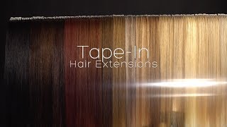 All About Donna Bella TapeIn Hair Extensions [upl. by Rex217]