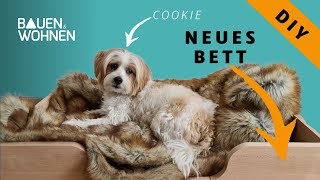 DIY Hundebett aus Holz leicht selbst gebaut [upl. by Maletta217]