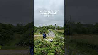 Close call for Darrian GTR at Donegal Rally 2024 donegalrally irishcarscene irishrally [upl. by Peterman]